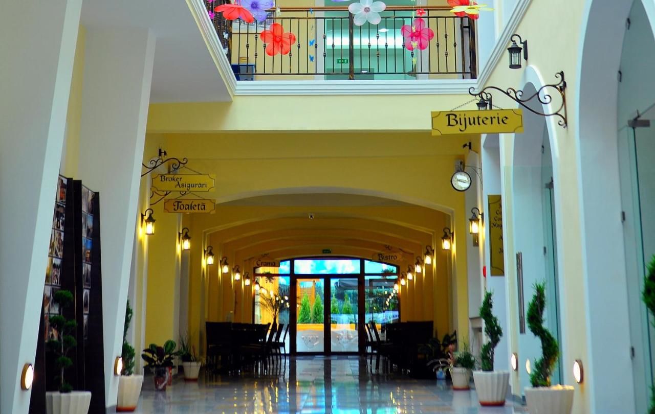 Отель Hotel Leul de Aur Себеш-13