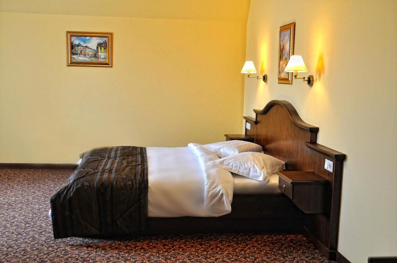 Отель Hotel Leul de Aur Себеш-35