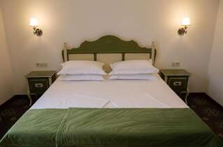 Отель Hotel Leul de Aur Себеш Двухместный номер Делюкс с 1 кроватью-5