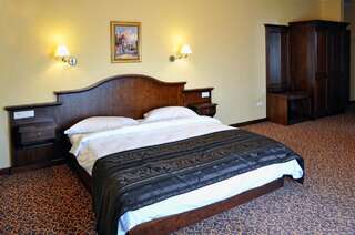 Отель Hotel Leul de Aur Себеш Стандартный двухместный номер с 1 кроватью или 2 отдельными кроватями-1
