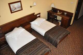 Отель Hotel Leul de Aur Себеш Стандартный двухместный номер с 1 кроватью или 2 отдельными кроватями-3