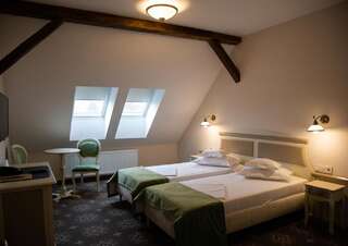 Отель Hotel Leul de Aur Себеш Улучшенный двухместный номер с 1 кроватью или 2 отдельными кроватями-6