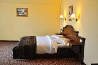 Отель Hotel Leul de Aur Себеш Стандартный двухместный номер с 1 кроватью или 2 отдельными кроватями-9