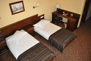 Отель Hotel Leul de Aur Себеш Стандартный двухместный номер с 1 кроватью или 2 отдельными кроватями-12