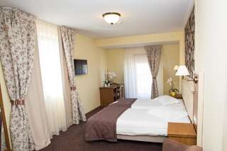 Отель Hotel Leul de Aur Себеш Улучшенный двухместный номер с 1 кроватью или 2 отдельными кроватями-1