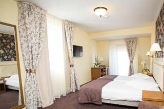 Отель Hotel Leul de Aur Себеш Улучшенный двухместный номер с 1 кроватью или 2 отдельными кроватями-2